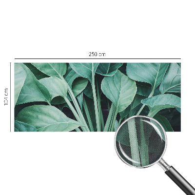 Fototapeta na ścianę Fototapeta na ścianę