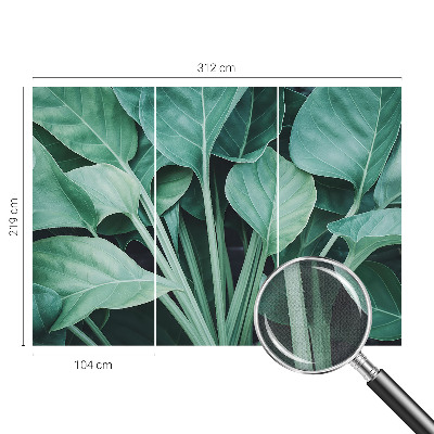 Fototapeta na ścianę Fototapeta na ścianę