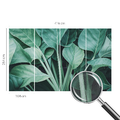 Fototapeta na ścianę z motywem zielonej natury