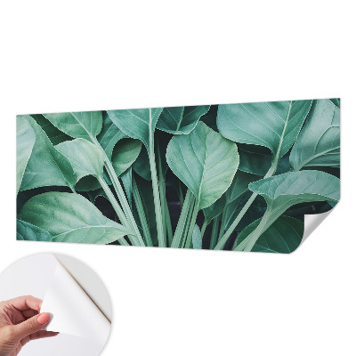 Fototapeta na ścianę Fototapeta na ścianę