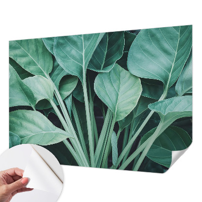 Fototapeta na ścianę Fototapeta na ścianę