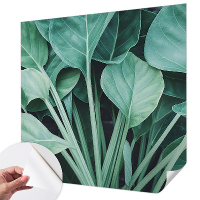 Fototapeta na ścianę Fototapeta na ścianę