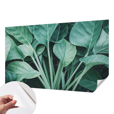 Fototapeta na ścianę Fototapeta na ścianę