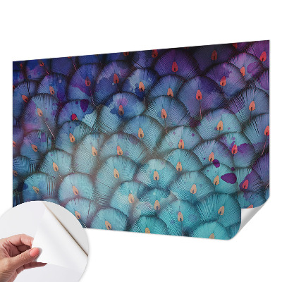 Nowoczesna fototapeta do salonu Kolorowe pióra