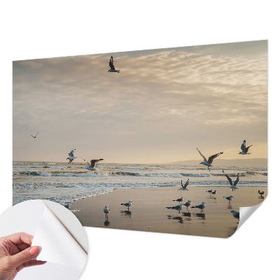 Tapeta fotograficzna Tapeta fotograficzna