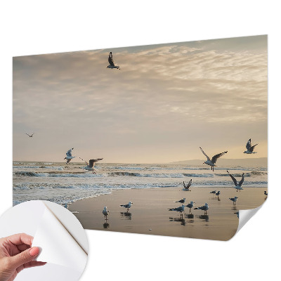 Tapeta fotograficzna Tapeta fotograficzna