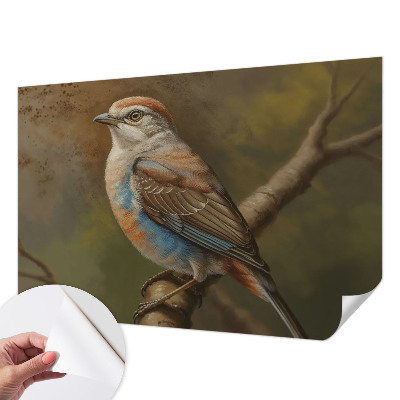 Tapeta fotograficzna samoprzylepna Ptasi portret