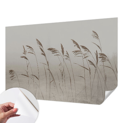 Dekoracyjna fototapeta na ścianę Dekoracyjna fototapeta na ścianę