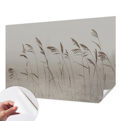 Dekoracyjna fototapeta na ścianę Dekoracyjna fototapeta na ścianę