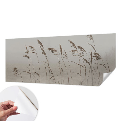 Dekoracyjna fototapeta na ścianę Dekoracyjna fototapeta na ścianę