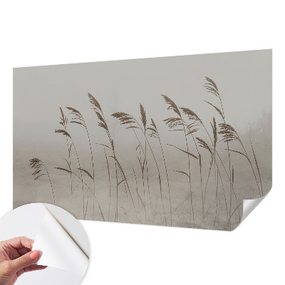 Dekoracyjna fototapeta na ścianę Dekoracyjna fototapeta na ścianę