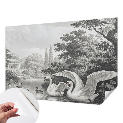 Fototapeta na ścianę Elegancja natury