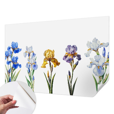 Tapeta fotograficzna Kwiaty irysów