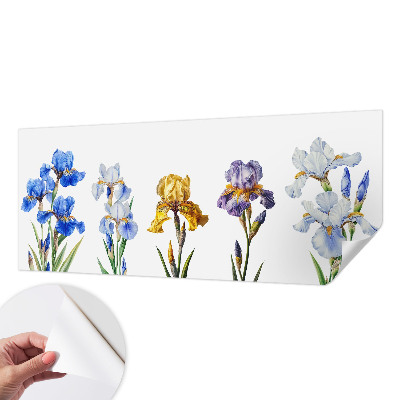 Tapeta fotograficzna z motywem kwiatów irysów