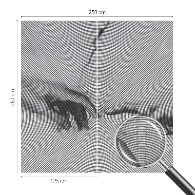 Fototapeta na ścianę Fototapeta na ścianę