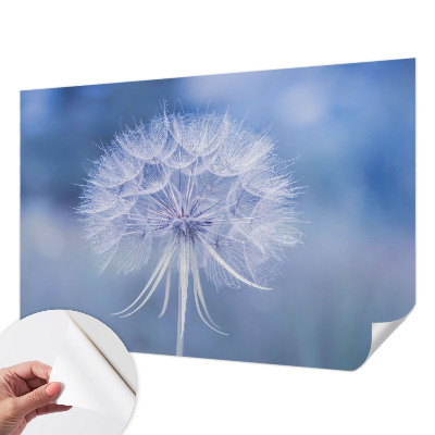 Fototapeta samoprzylepna z nadrukiem Fototapeta samoprzylepna z nadrukiem