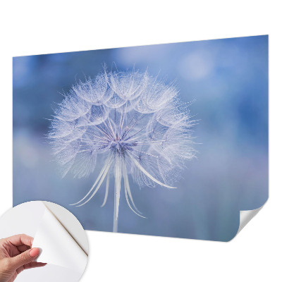 Fototapeta samoprzylepna z nadrukiem Fototapeta samoprzylepna z nadrukiem