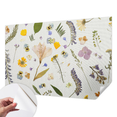 Fototapeta na ścianę Fototapeta na ścianę