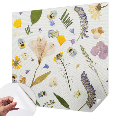 Fototapeta na ścianę Fototapeta na ścianę