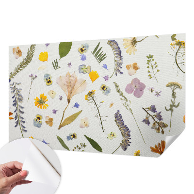 Fototapeta na ścianę Fototapeta na ścianę