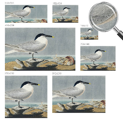 Tapeta fotograficzna Tapeta fotograficzna