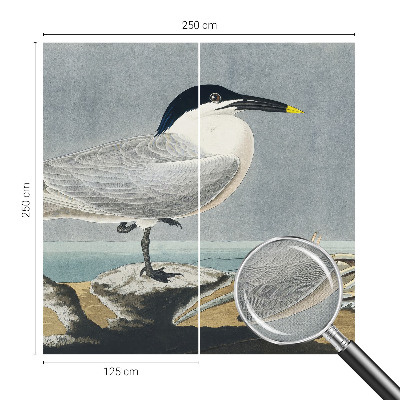 Tapeta fotograficzna Tapeta fotograficzna