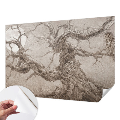 Tapeta fotograficzna Tapeta fotograficzna