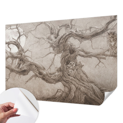 Tapeta fotograficzna Tapeta fotograficzna