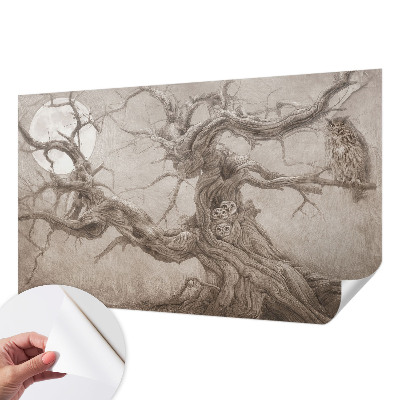 Tapeta fotograficzna Tapeta fotograficzna