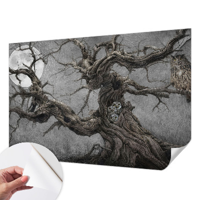 Tapeta fotograficzna Tapeta fotograficzna