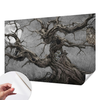 Tapeta fotograficzna Tapeta fotograficzna