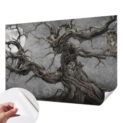 Tapeta fotograficzna Tapeta fotograficzna