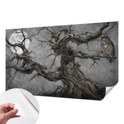 Tapeta fotograficzna Tapeta fotograficzna