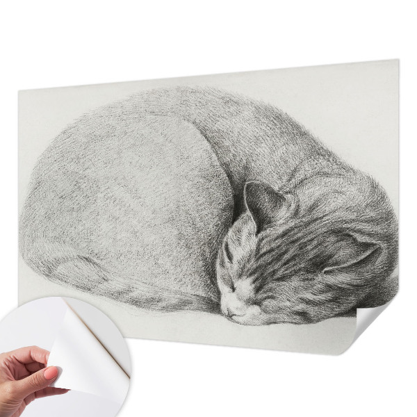 Dekoracyjna fototapeta na ścianę Dekoracyjna fototapeta na ścianę