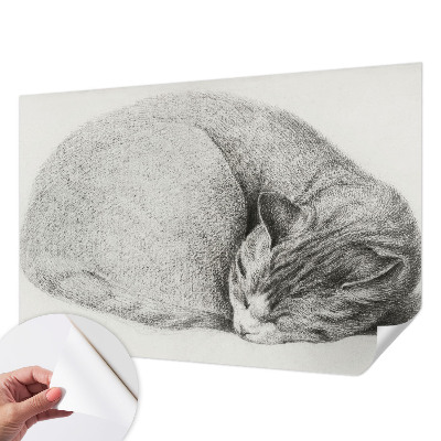 Dekoracyjna fototapeta na ścianę Dekoracyjna fototapeta na ścianę