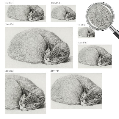 Dekoracyjna fototapeta na ścianę Dekoracyjna fototapeta na ścianę