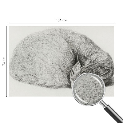 Dekoracyjna fototapeta na ścianę Dekoracyjna fototapeta na ścianę