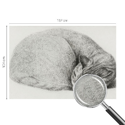 Dekoracyjna fototapeta na ścianę Dekoracyjna fototapeta na ścianę