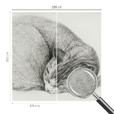 Dekoracyjna fototapeta na ścianę Dekoracyjna fototapeta na ścianę