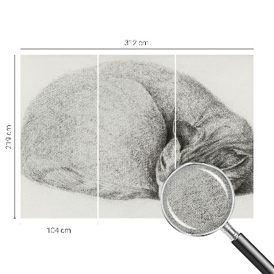 Dekoracyjna fototapeta na ścianę Dekoracyjna fototapeta na ścianę