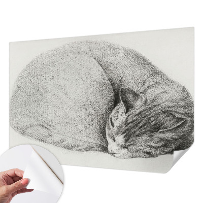 Dekoracyjna fototapeta na ścianę Dekoracyjna fototapeta na ścianę