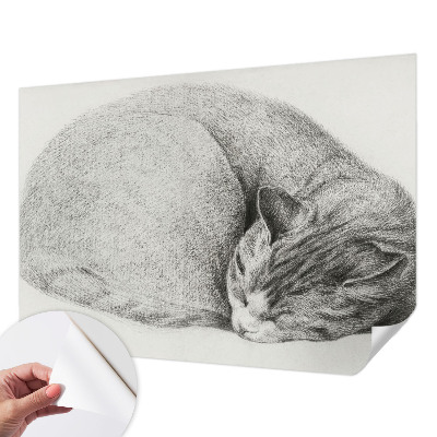 Dekoracyjna fototapeta na ścianę Dekoracyjna fototapeta na ścianę