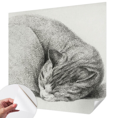 Dekoracyjna fototapeta na ścianę Dekoracyjna fototapeta na ścianę