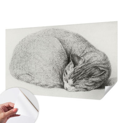 Dekoracyjna fototapeta na ścianę Dekoracyjna fototapeta na ścianę