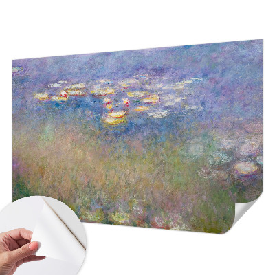 Fototapeta na ścianę Wodne lilie