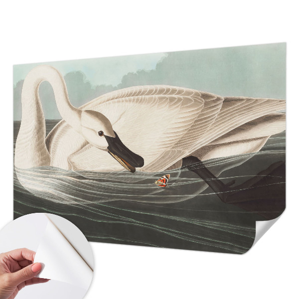 Fototapeta na ścianę Fototapeta na ścianę