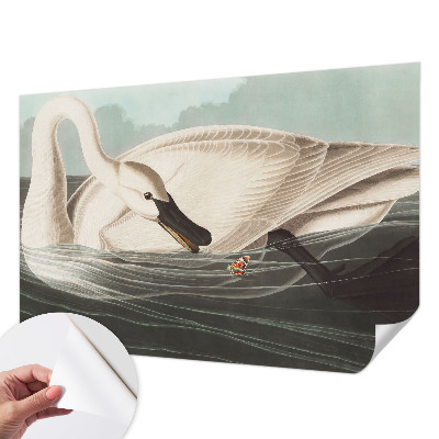 Fototapeta na ścianę Fototapeta na ścianę