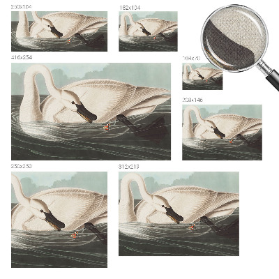 Fototapeta na ścianę Fototapeta na ścianę