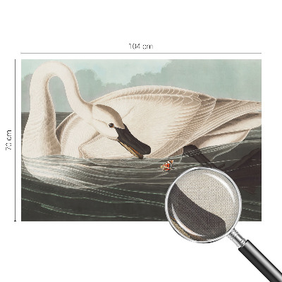 Fototapeta na ścianę Fototapeta na ścianę