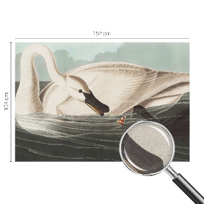 Fototapeta na ścianę Fototapeta na ścianę